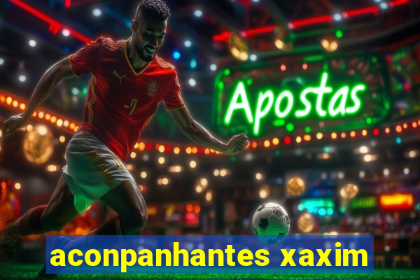aconpanhantes xaxim