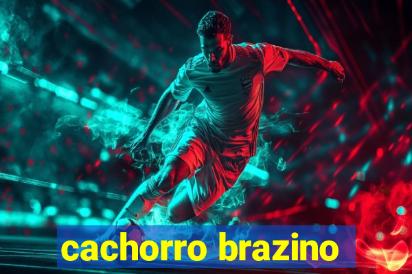 cachorro brazino