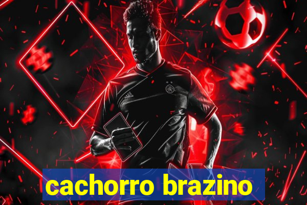 cachorro brazino
