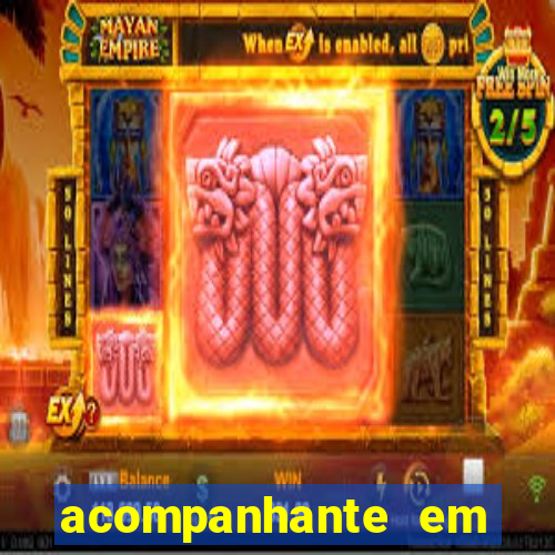 acompanhante em porto seguro