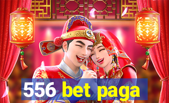 556 bet paga