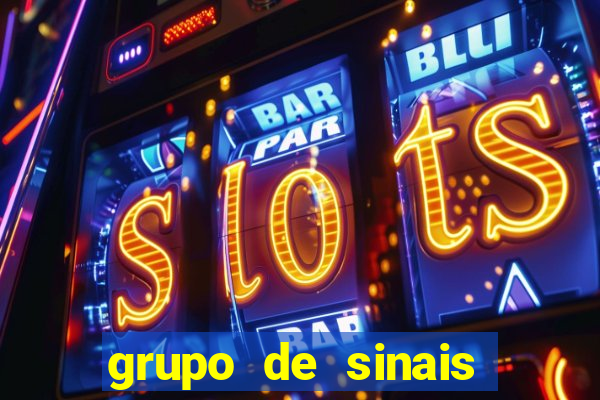 grupo de sinais mines whatsapp