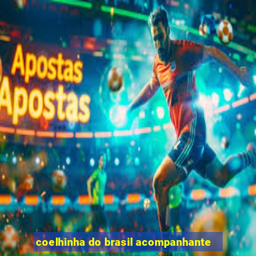 coelhinha do brasil acompanhante
