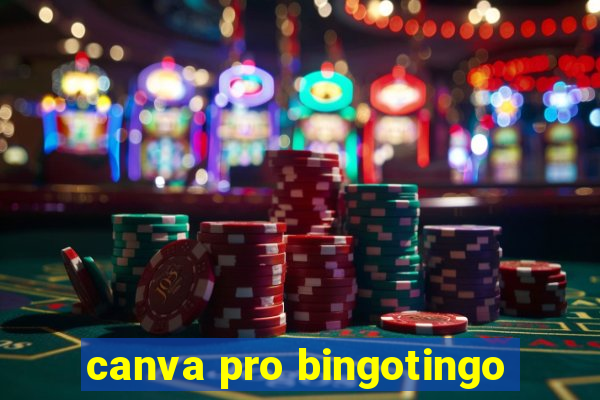 canva pro bingotingo