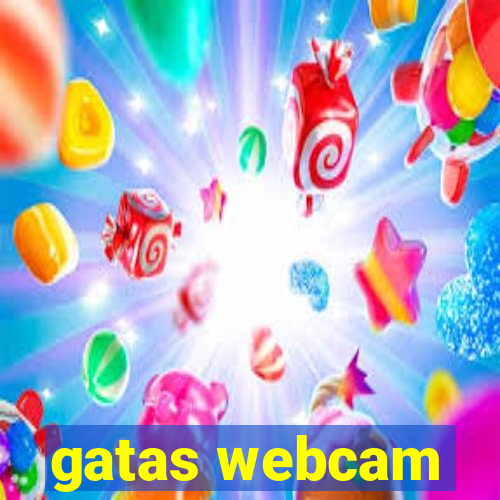gatas webcam
