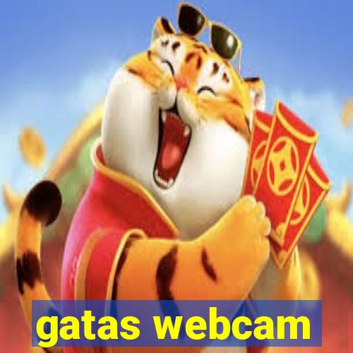 gatas webcam