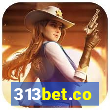 313bet.co