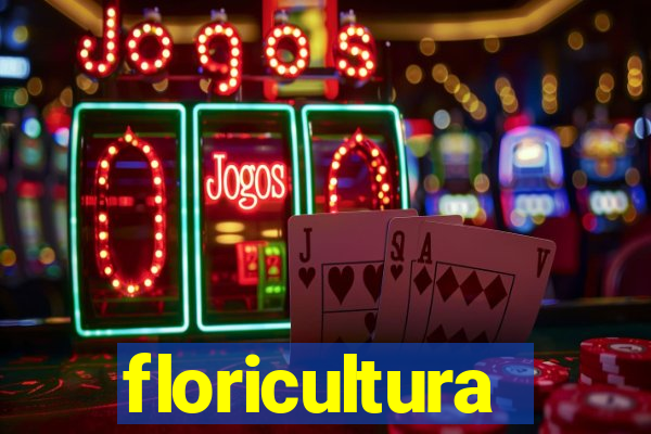 floricultura juazeiro bahia