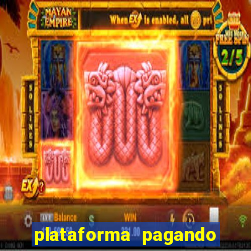 plataforma pagando no cadastro