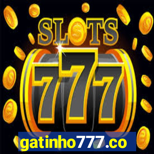 gatinho777.co