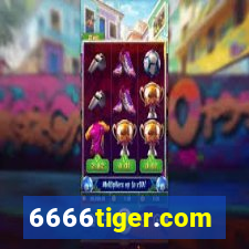 6666tiger.com
