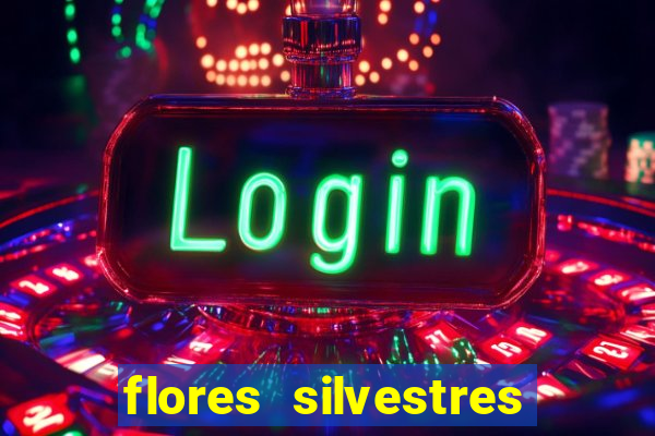 flores silvestres desbravadores desbravadores 25