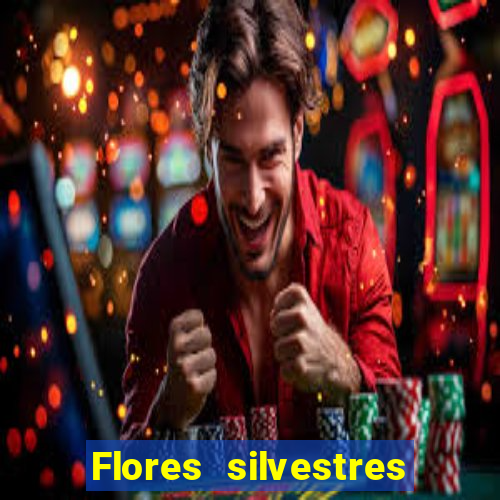 Flores silvestres brasileiras brasileiras flores silvestres nomes e imagens