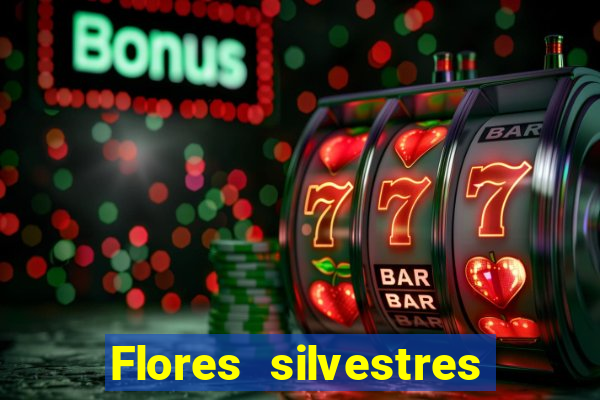 Flores silvestres brasileiras brasileiras flores silvestres nomes e imagens