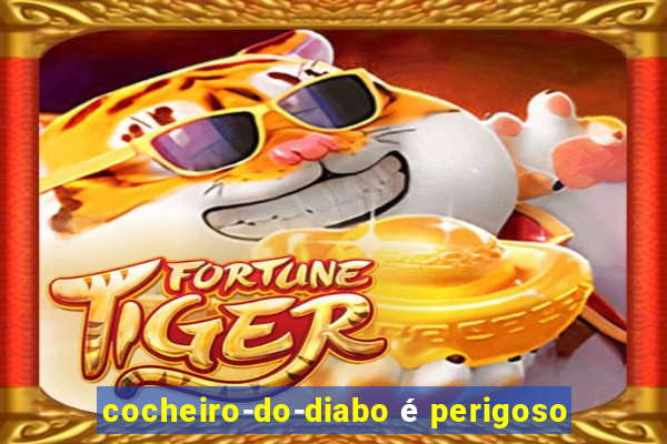 cocheiro-do-diabo é perigoso