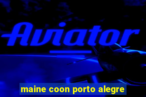 maine coon porto alegre