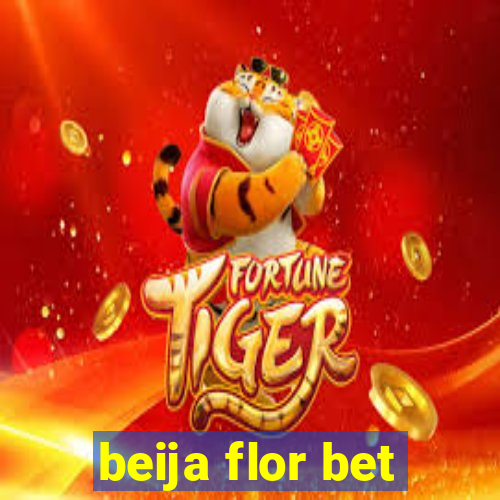 beija flor bet