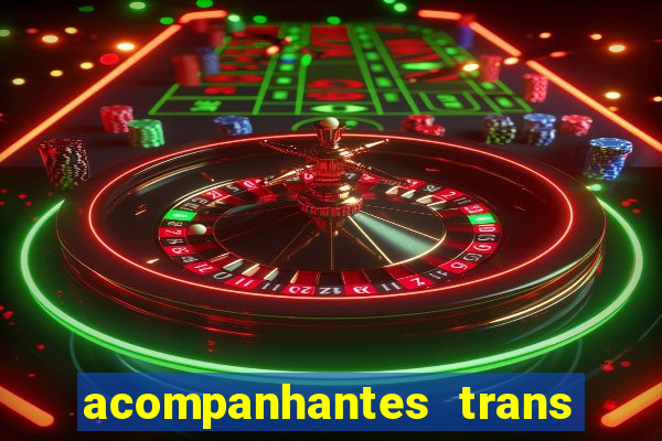 acompanhantes trans baixada fluminense