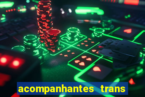 acompanhantes trans baixada fluminense