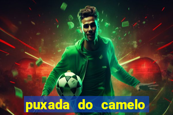 puxada do camelo no jogo do bicho