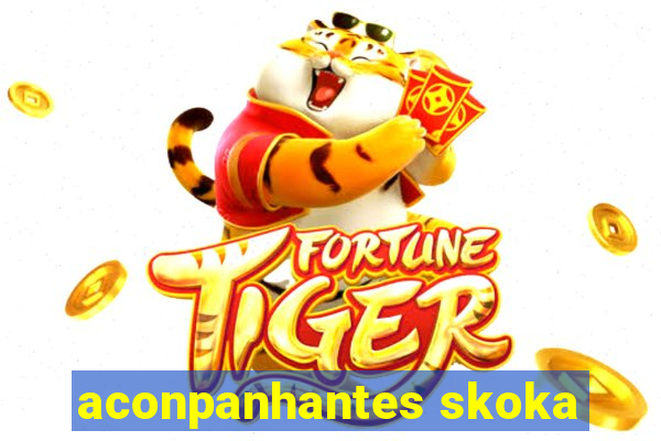 aconpanhantes skoka