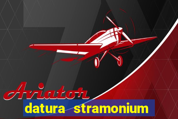 datura stramonium medicinal uses