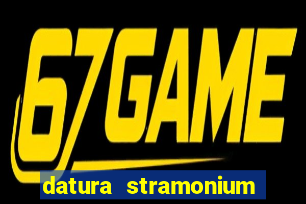 datura stramonium medicinal uses