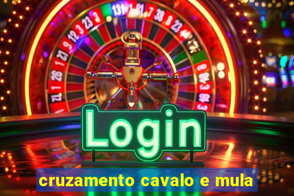 cruzamento cavalo e mula