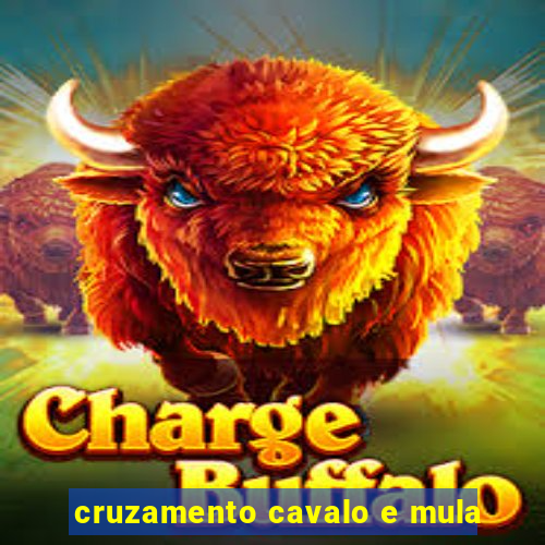 cruzamento cavalo e mula