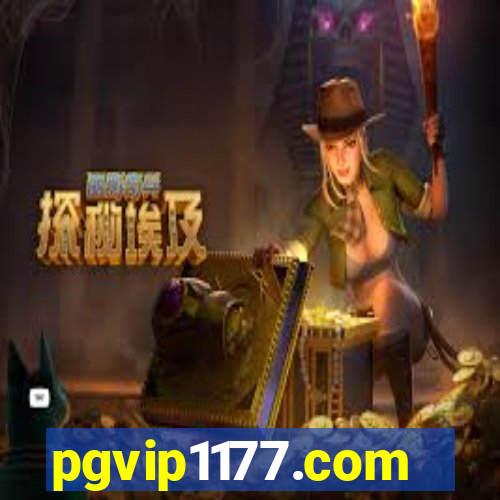 pgvip1177.com