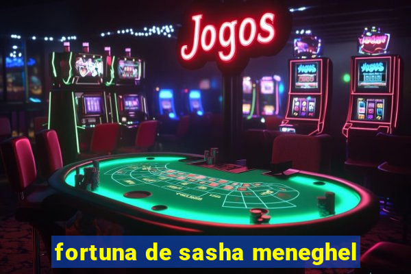 fortuna de sasha meneghel