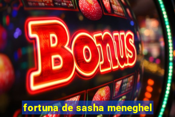 fortuna de sasha meneghel