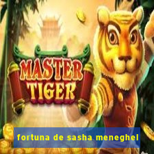 fortuna de sasha meneghel
