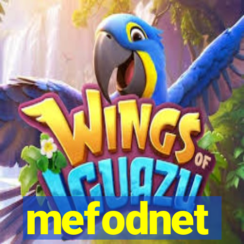 mefodnet
