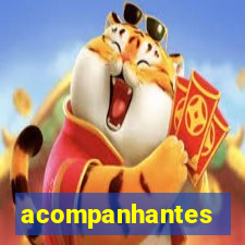acompanhantes peludas sao paulo