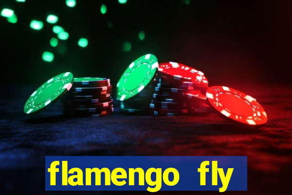 flamengo fly emirates ultimas noticias