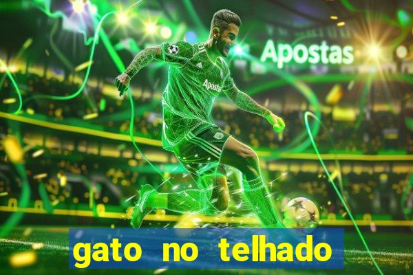 gato no telhado significado espiritual