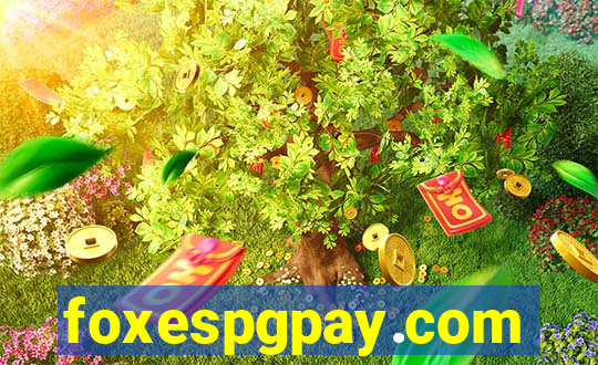 foxespgpay.com