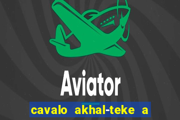 cavalo akhal-teke a venda no brasil cavalo akhal teke no