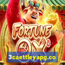 3caettleyapg.com