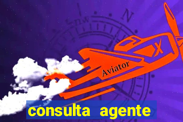 consulta agente autuador sp