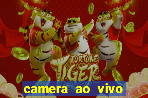 camera ao vivo praia do forte bahia