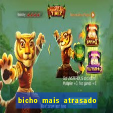 bicho mais atrasado na bahia