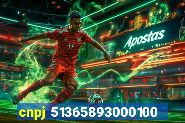cnpj 51365893000100