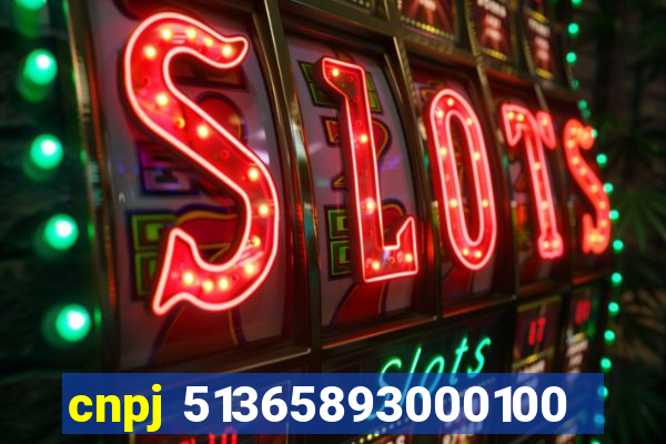 cnpj 51365893000100