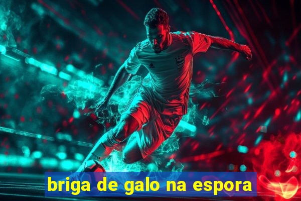 briga de galo na espora
