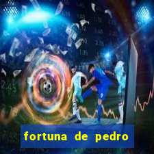 fortuna de pedro leonardo filho de leonardo