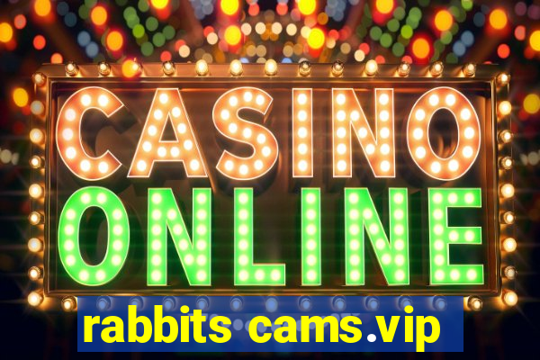 rabbits cams.vip