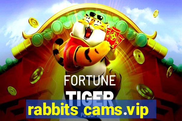 rabbits cams.vip