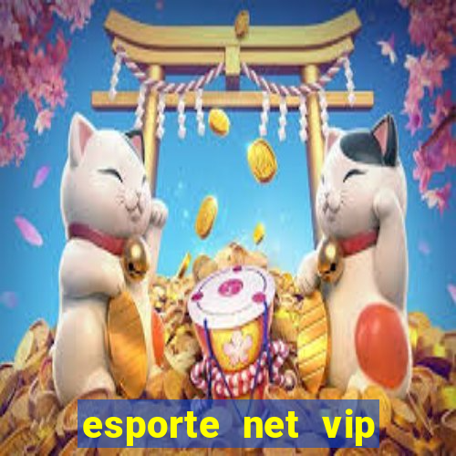 esporte net vip bet consultar bilhete